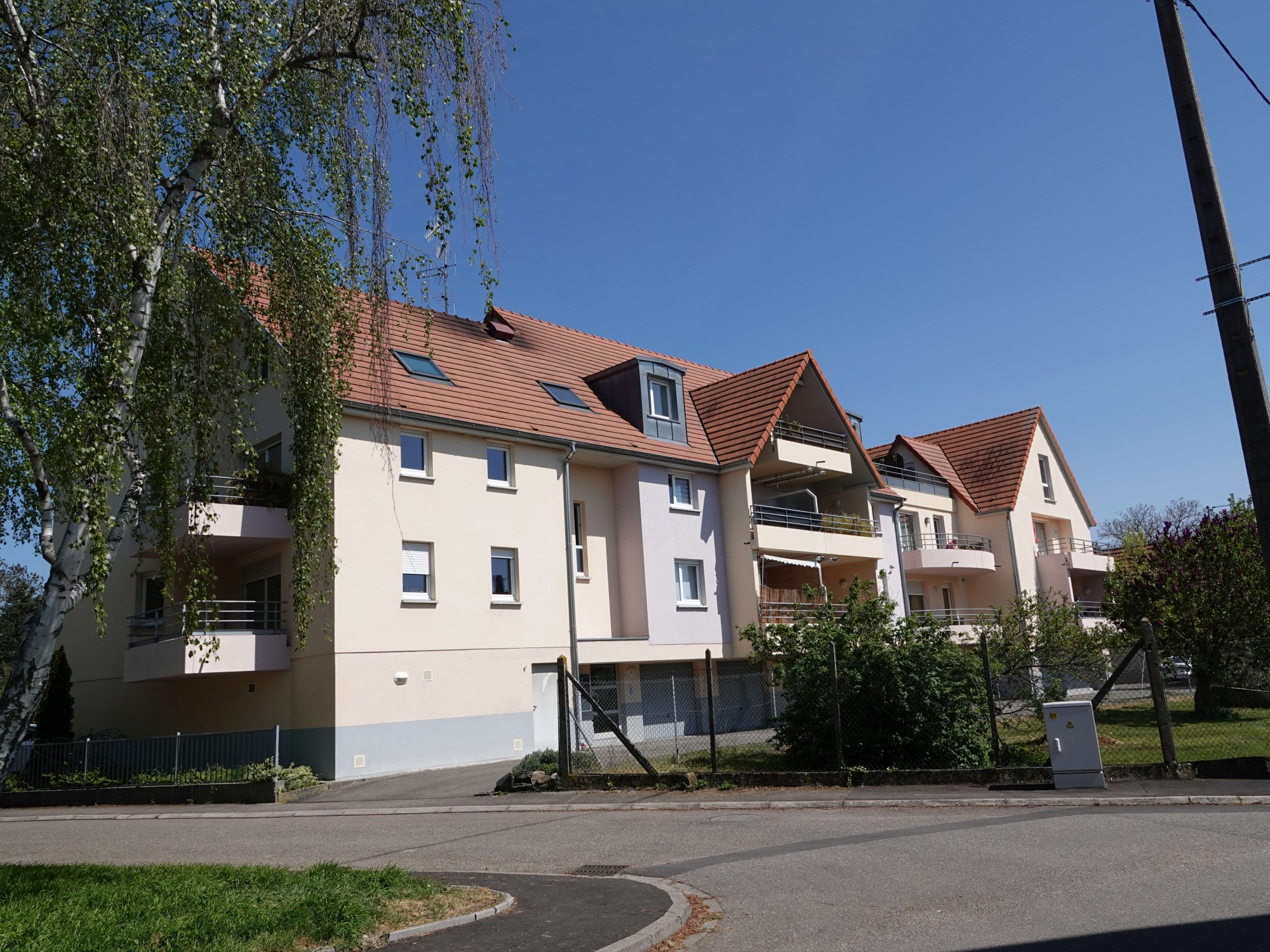 DSC05122-8000